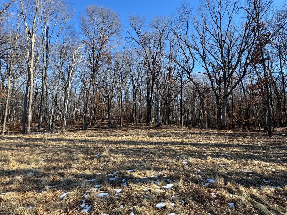 14775 Stutz Street Ne, Ham Lake, MN 55304 - #1