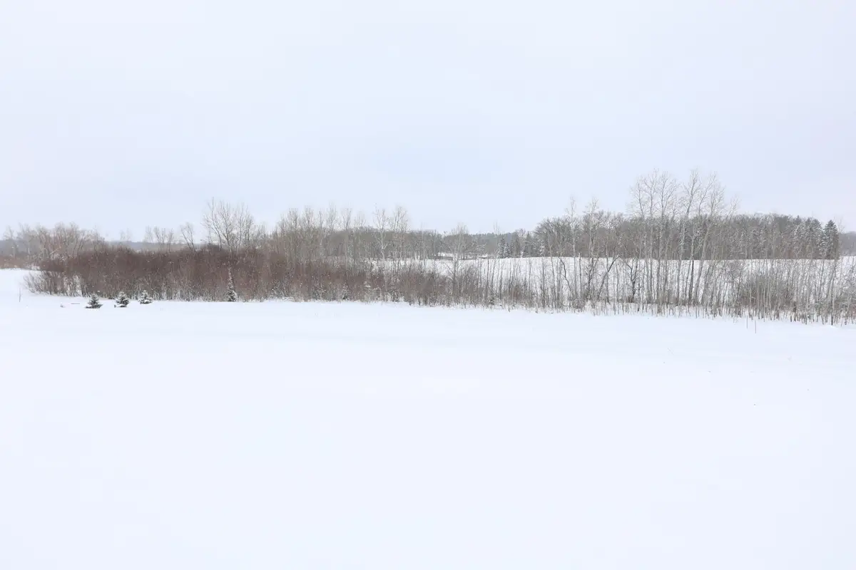 TBD Tasha Drive Nw, Garfield, MN 56332 - #1