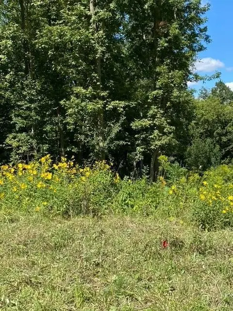 20011 Nevada Avenue, Prior Lake, MN 55372 - #1