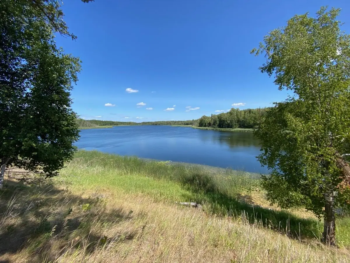 49954 209th Avenue, Clearbrook, MN 56634 - #1