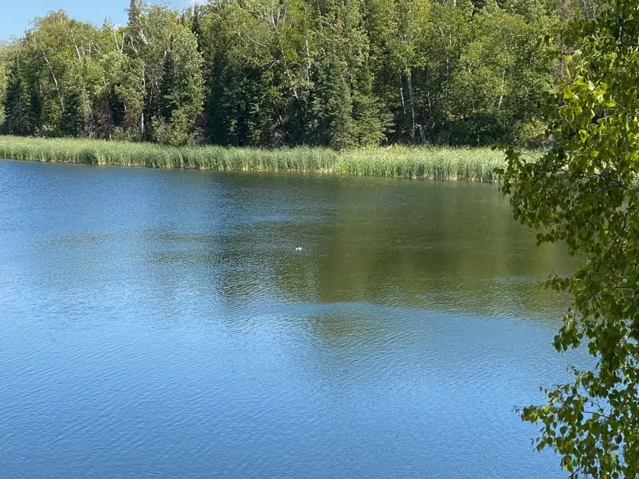 49954 209th Avenue, Clearbrook, MN 56634 - #2