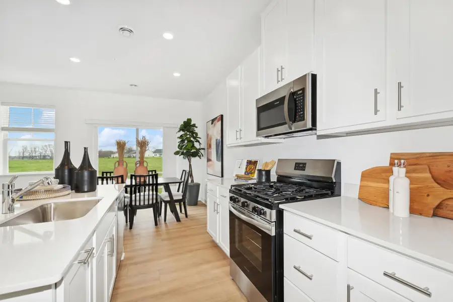 989 Annagaire Curve, Rosemount, MN 55068 - Image #2