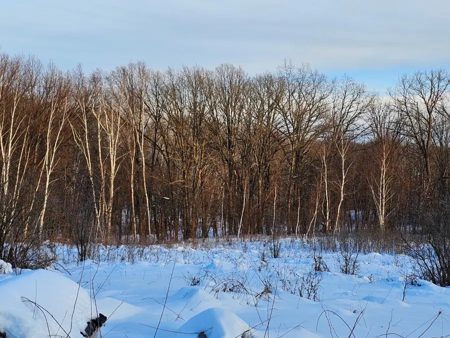 158AC 110th Street, Frederic, WI 54837 - Image #2