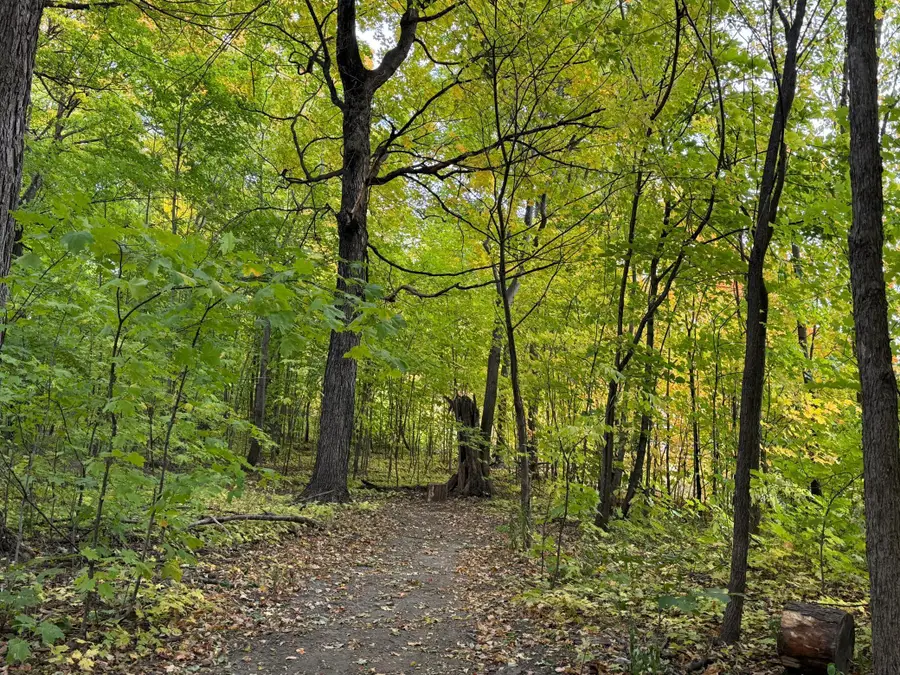 7495 Fern Court, Loretto, MN 55357 - #3