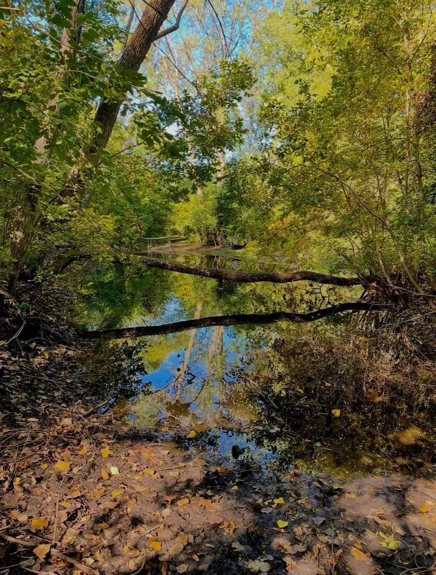 na Na, Albert Lea, MN 56007 - Image #2