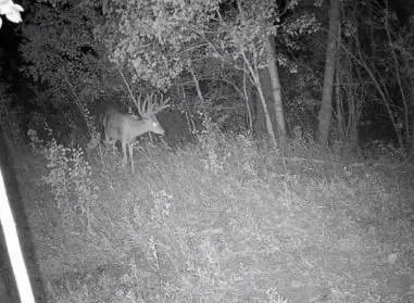 TBD County Highway 10, Fergus Falls, MN 56537