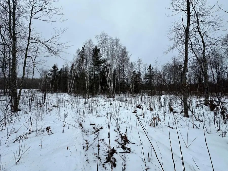 TBD #4 Koecher Road, Kerrick, MN 55756 - Image #3