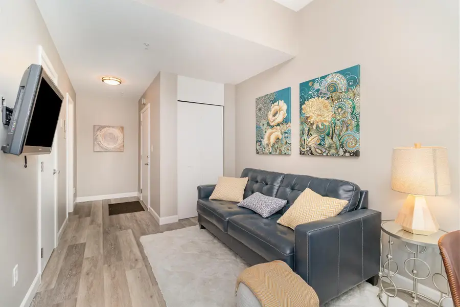 488 Wabasha Street N #303, Saint Paul, MN 55102 - #2