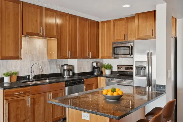 401 S 1st Street #215, Minneapolis, MN 55401