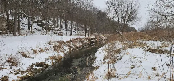 15737 403rd Avenue, Canton, MN 55922