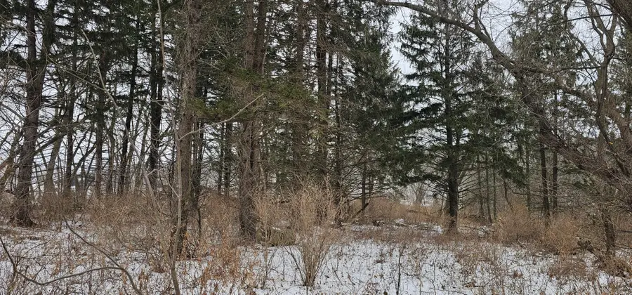 15737 403rd Avenue, Canton, MN 55922 - Image #2