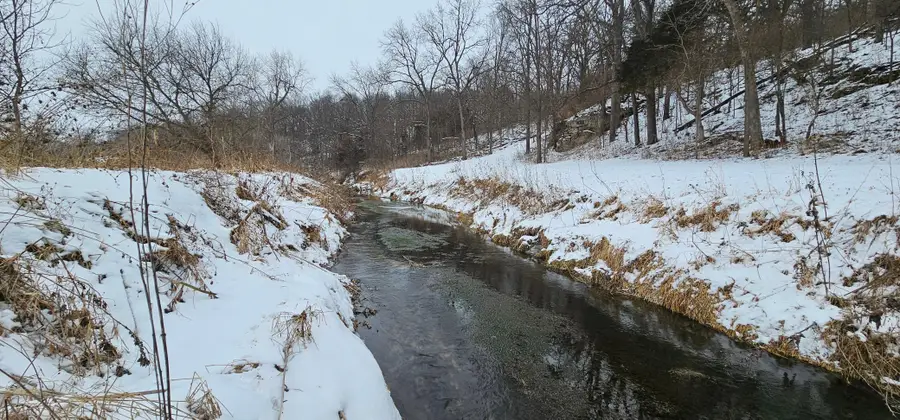 15737 403rd Avenue, Canton, MN 55922 - Image #3