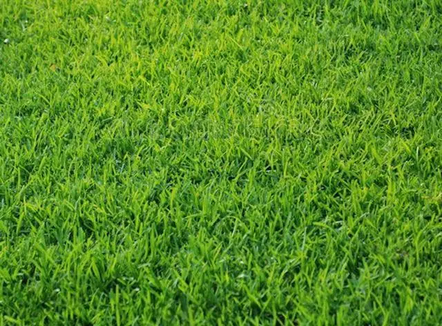 5061 Sydnie Road Nw, Rochester, MN 55901 - Image #1