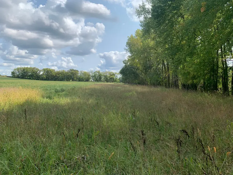 xxx Keystone Avenue N, May Township, MN 55038 - Image #2