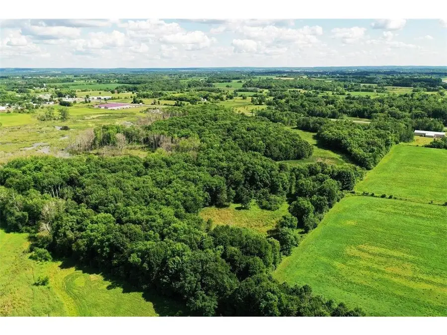 169xx Lake Boulevard, Shafer, MN 55074 - Image #3