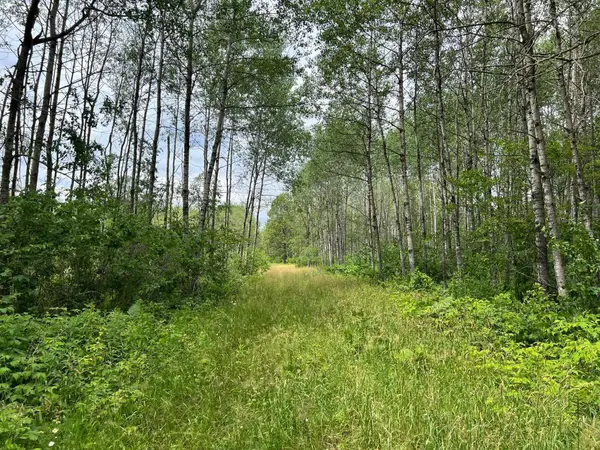 W37XX Frog Creek Road, Minong, WI 54859