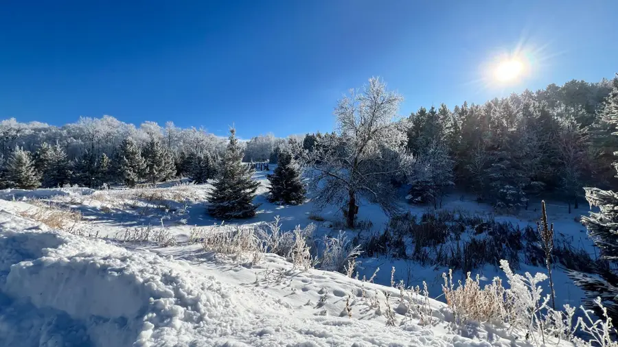 26088 Broadway Avenue, Detroit Lakes, MN 56501 - Image #3