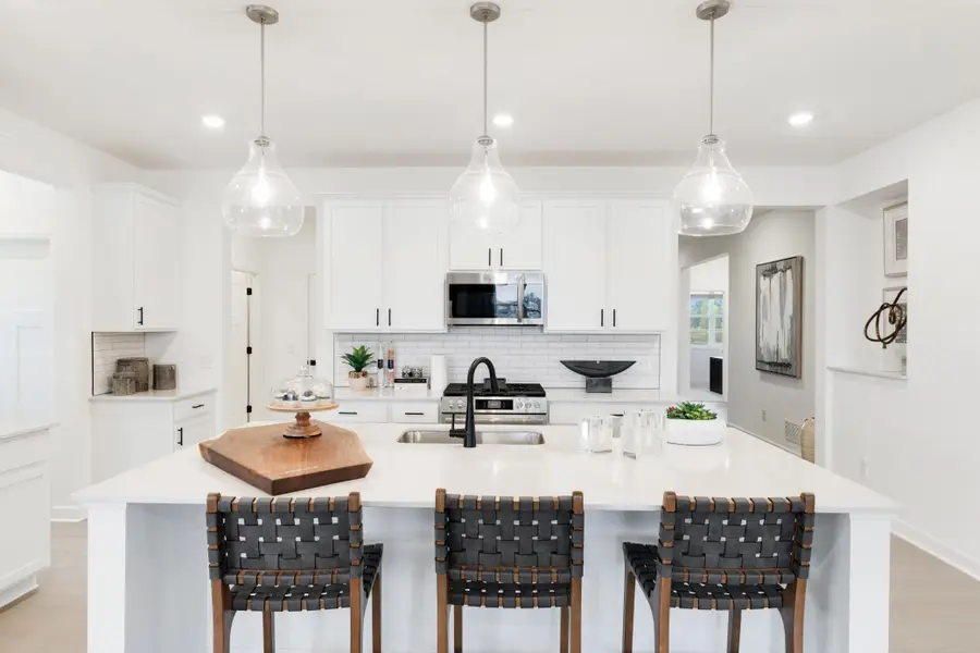 7591 Swan Street, Lino Lakes, MN 55038 - Image #2