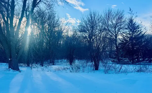 3480 County Road 8 Ne, Spicer, MN 56288