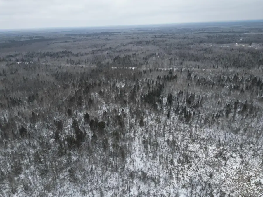 TBD Us-71, Big Falls, MN 56627 - #2