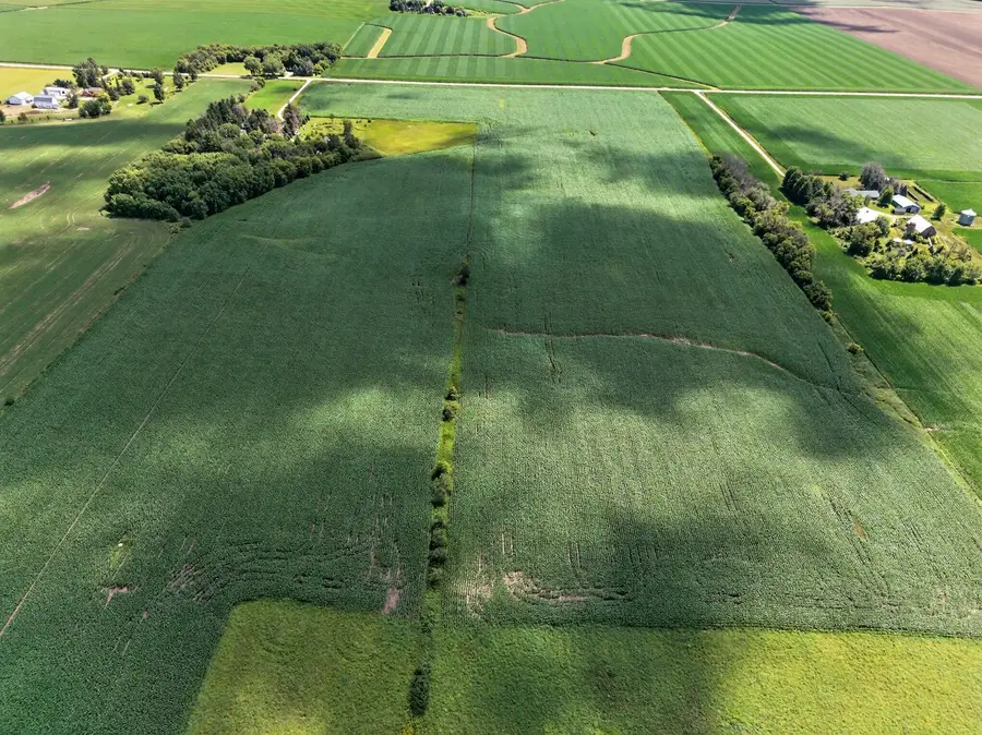 TBD County Road 149, Hayfield, MN 55940 - #2