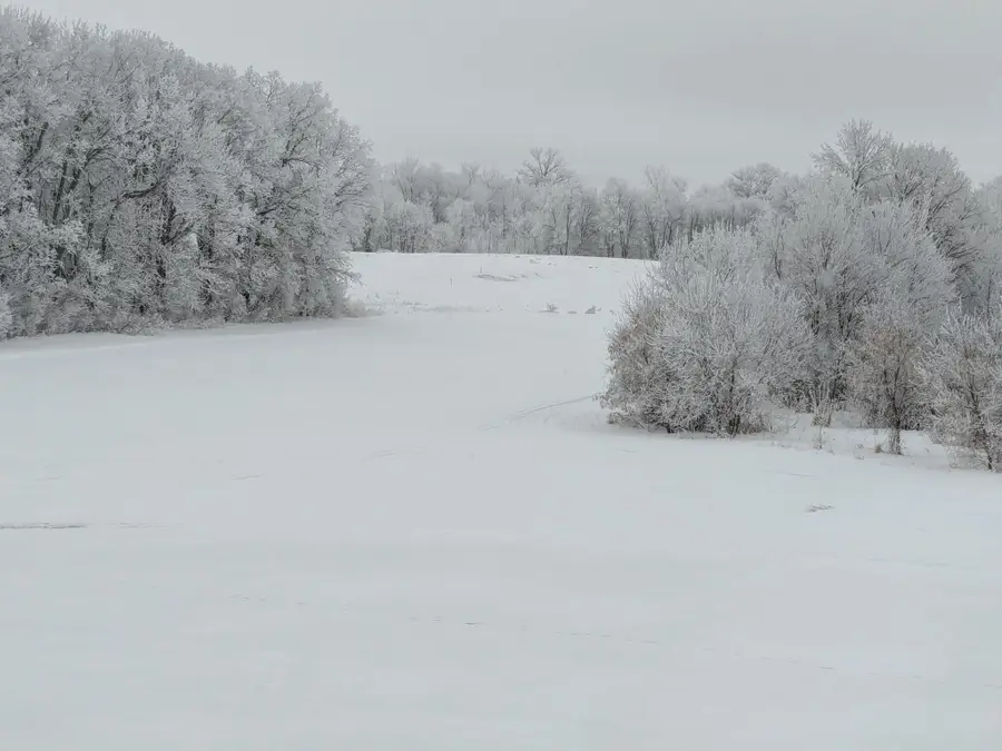 27196 Co Hwy 21, Detroit Lakes, MN 56501 - #3