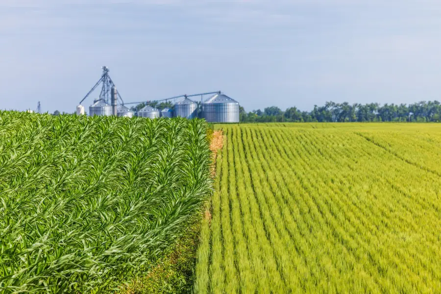 TBD 58 Street Se, Moore, ND 58054 - Image #3