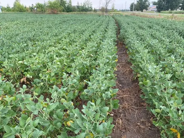 TBD 160th St., Foreston, MN 56330 - Image #3