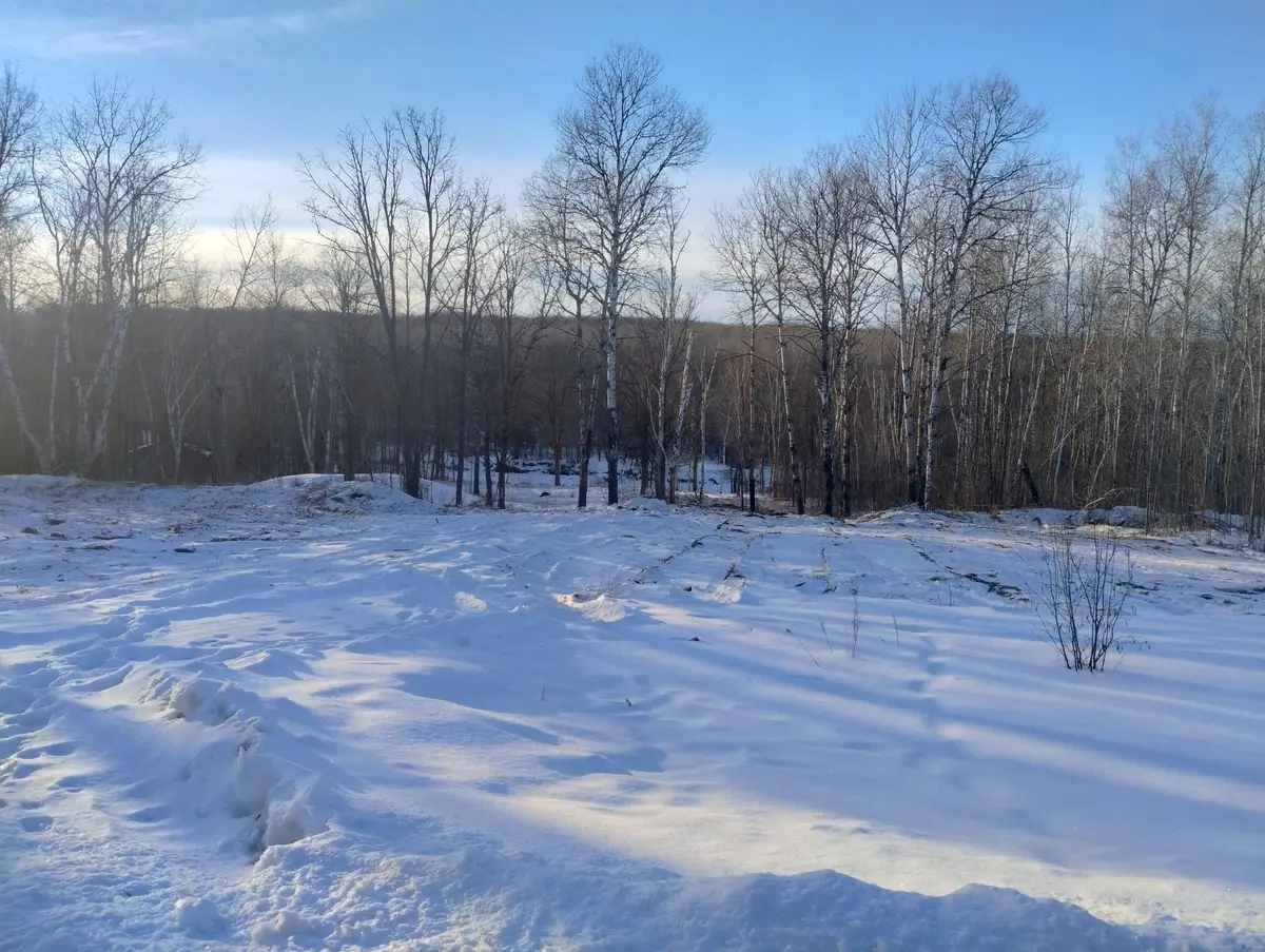 13649 188th Place, Williams, MN 56350 - #1