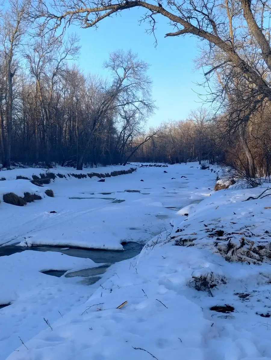 13649 188th Place, Williams, MN 56350 - #2