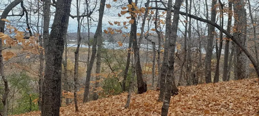 220th 220th Street, Clitherall, MN 56524 - #2