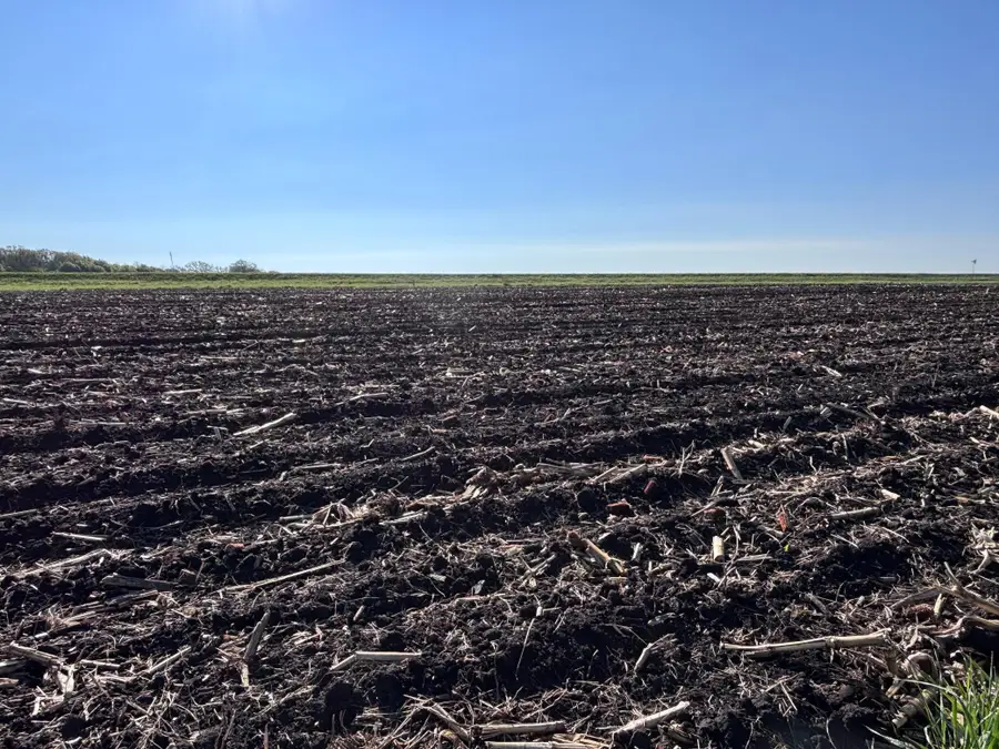 TBD Grandview Rd, Elbow Lake, MN 56531 - #2