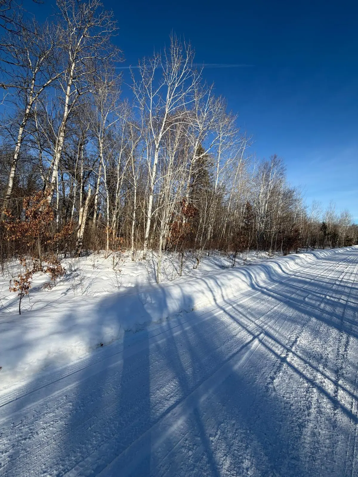 TBD Tbd County Road 12, Ironton, MN 56455 - Image #1