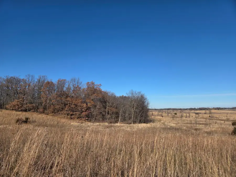 36999 141st Lane, Montgomery, MN 56069 - Image #2