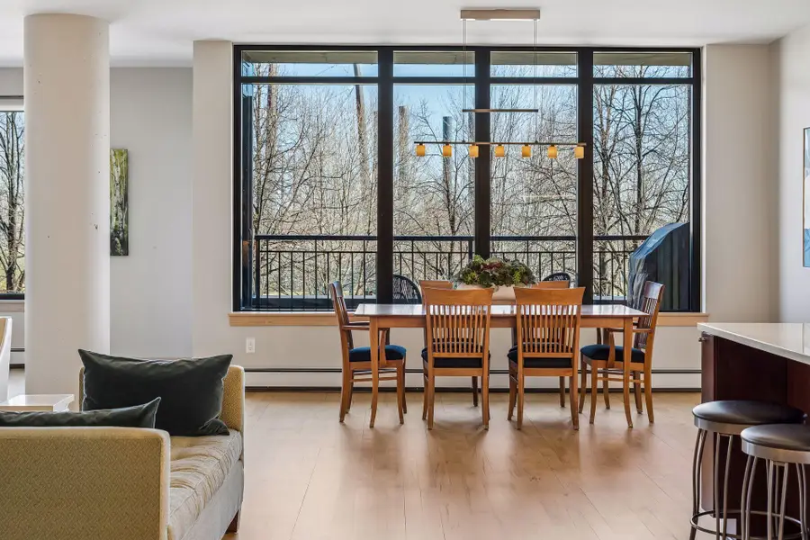 215 10th Avenue S #212, Minneapolis, MN 55415 - #2