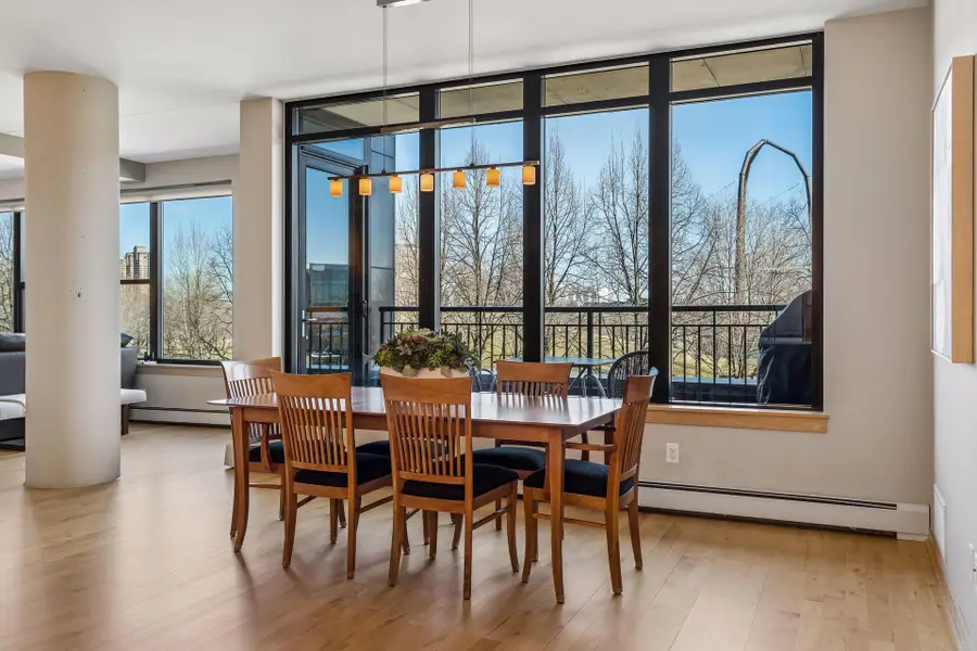 215 10th Avenue S #212, Minneapolis, MN 55415 - #3