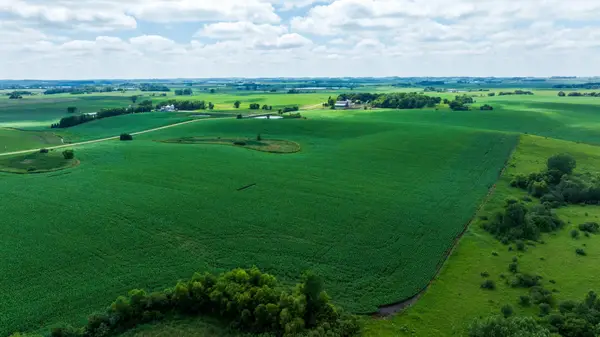 TBD 370 St Lot 80, Erhard, MN 56534