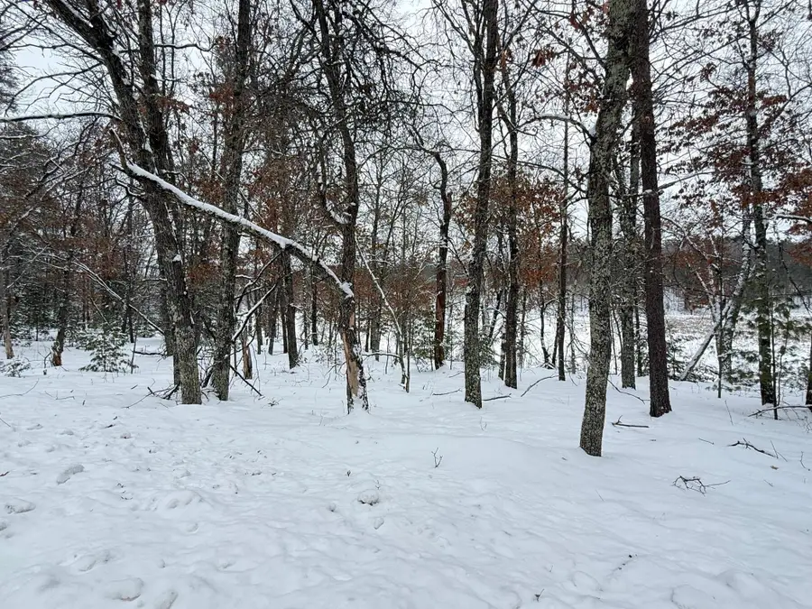 30282 N Des Moines Lake Road, Danbury, WI 54830 - Image #3