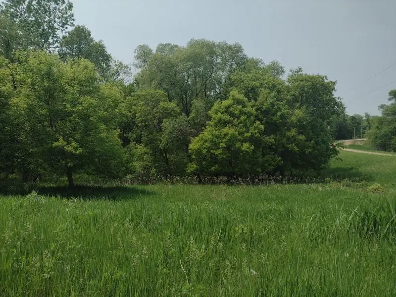 Lot 7 Block 2 Crystal Beach Road, Pelican Rapids, MN 56572 - #1