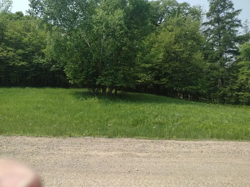Lot 7 Block 2 Crystal Beach Road, Pelican Rapids, MN 56572 - #3