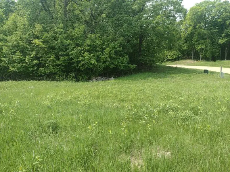 Lot 1 Block 3 Crystal Beach Road, Pelican Rapids, MN 56572 - Image #3