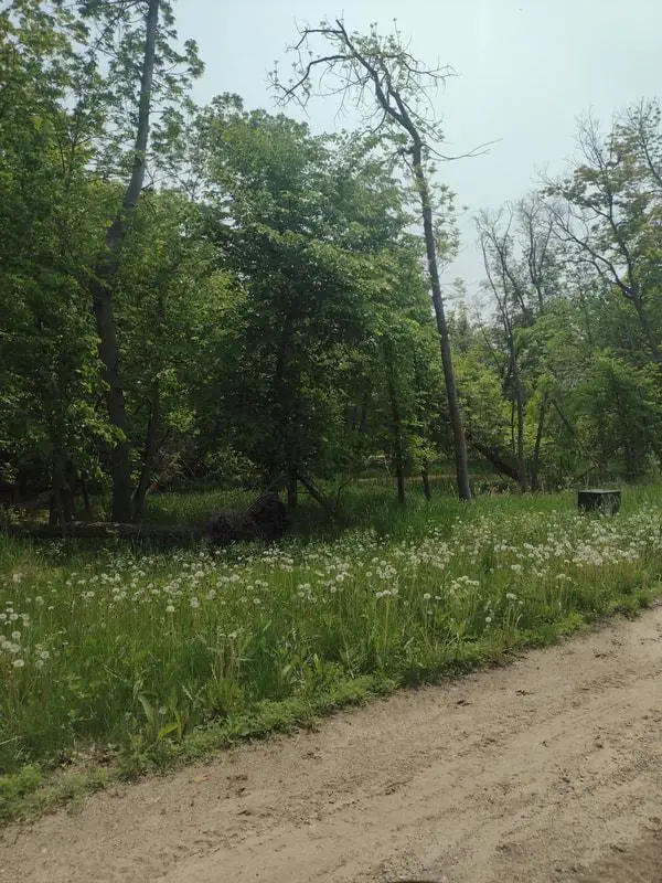 Lot 2 Block 3 Crystal Beach Road, Pelican Rapids, MN 56572 - #1