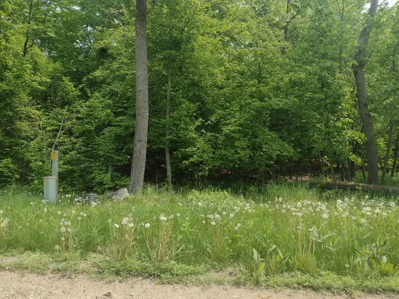 Lot 2 Block 3 Crystal Beach Road, Pelican Rapids, MN 56572 - #2