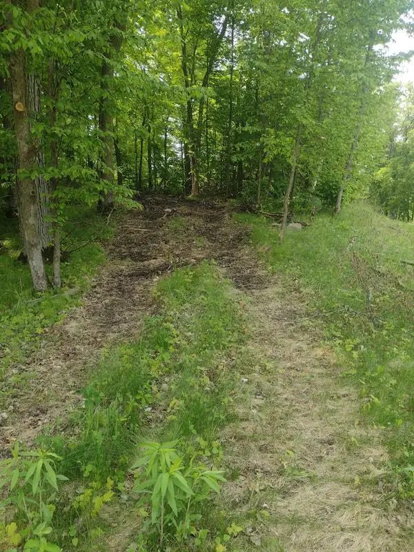 Lot 2 Block 3 Crystal Beach Road, Pelican Rapids, MN 56572 - #3