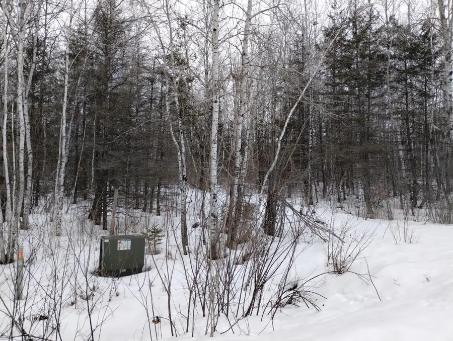 tbd 294th Avenue, Brook Park, MN 55007 - Image #2