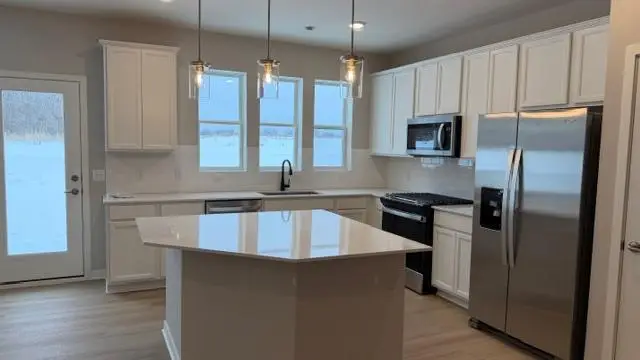 14955 Avondale View, Rosemount, MN 55068 - Image #3