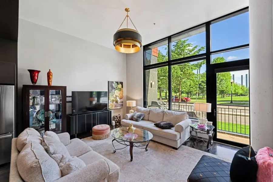 215 10th Avenue S #112, Minneapolis, MN 55415 - #2