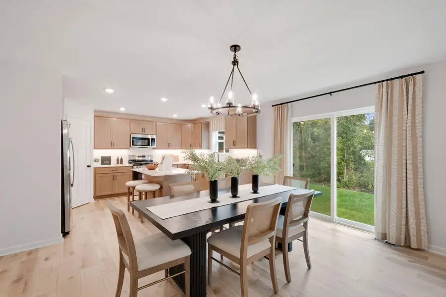 1109 Annagaire Curve, Rosemount, MN 55068 - Image #2