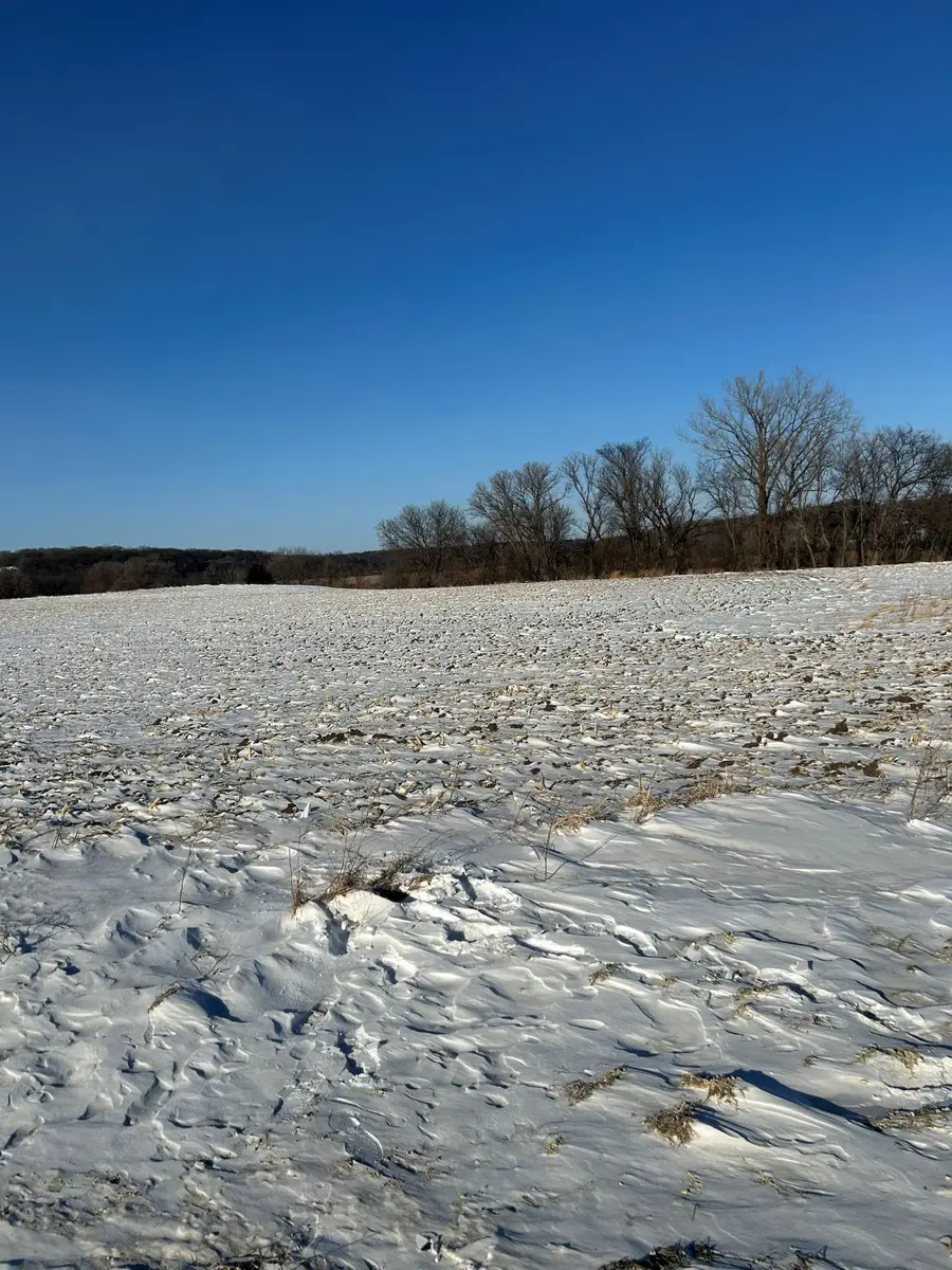 XXXX 285th (10 Acres) Street, Northfield, MN 55057 - Image #3