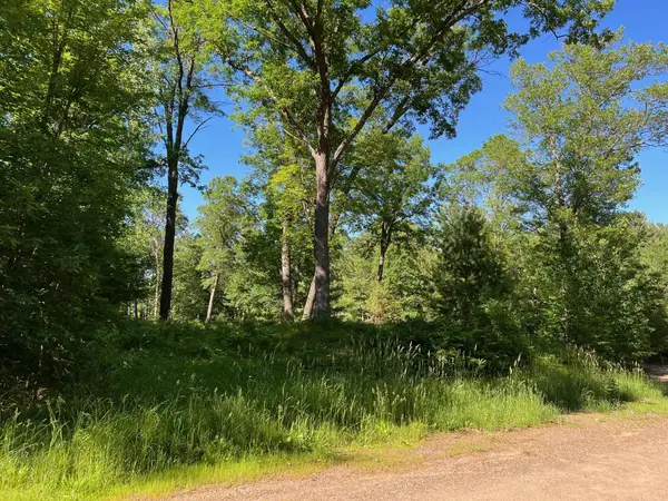 73XX Willow Street E, Webster, WI 54893